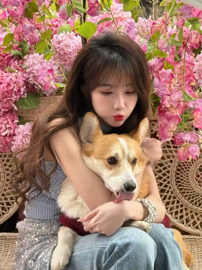 记忆碎片数字化过程